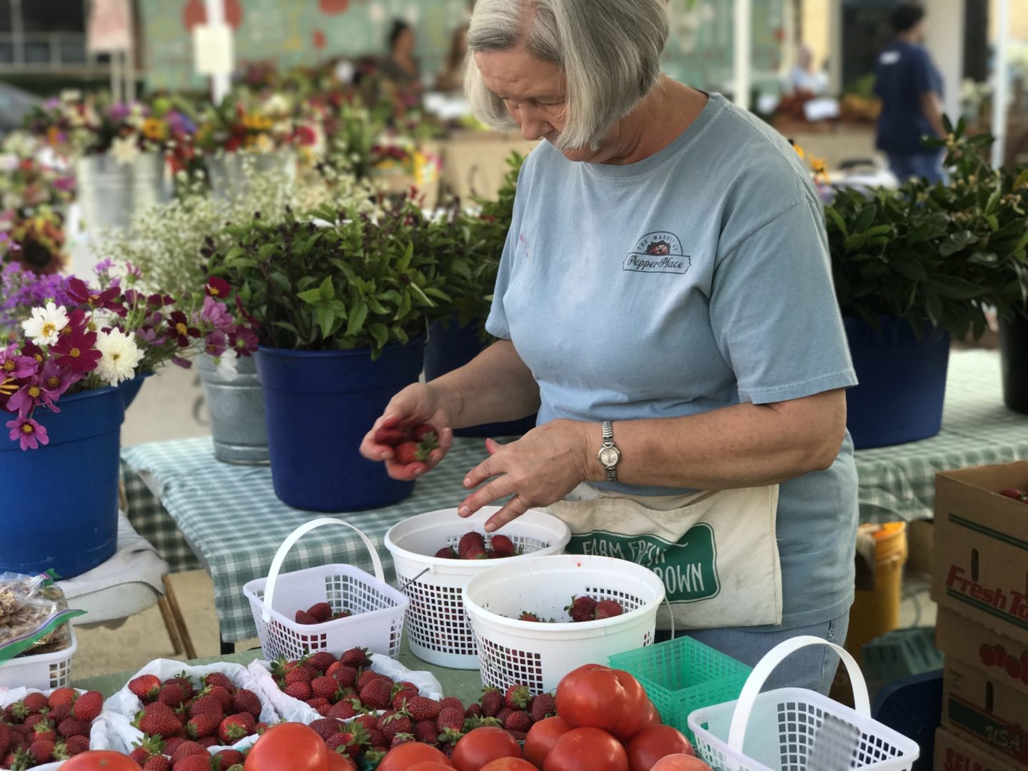 Connie Whited Farms strawberry washin horizontal