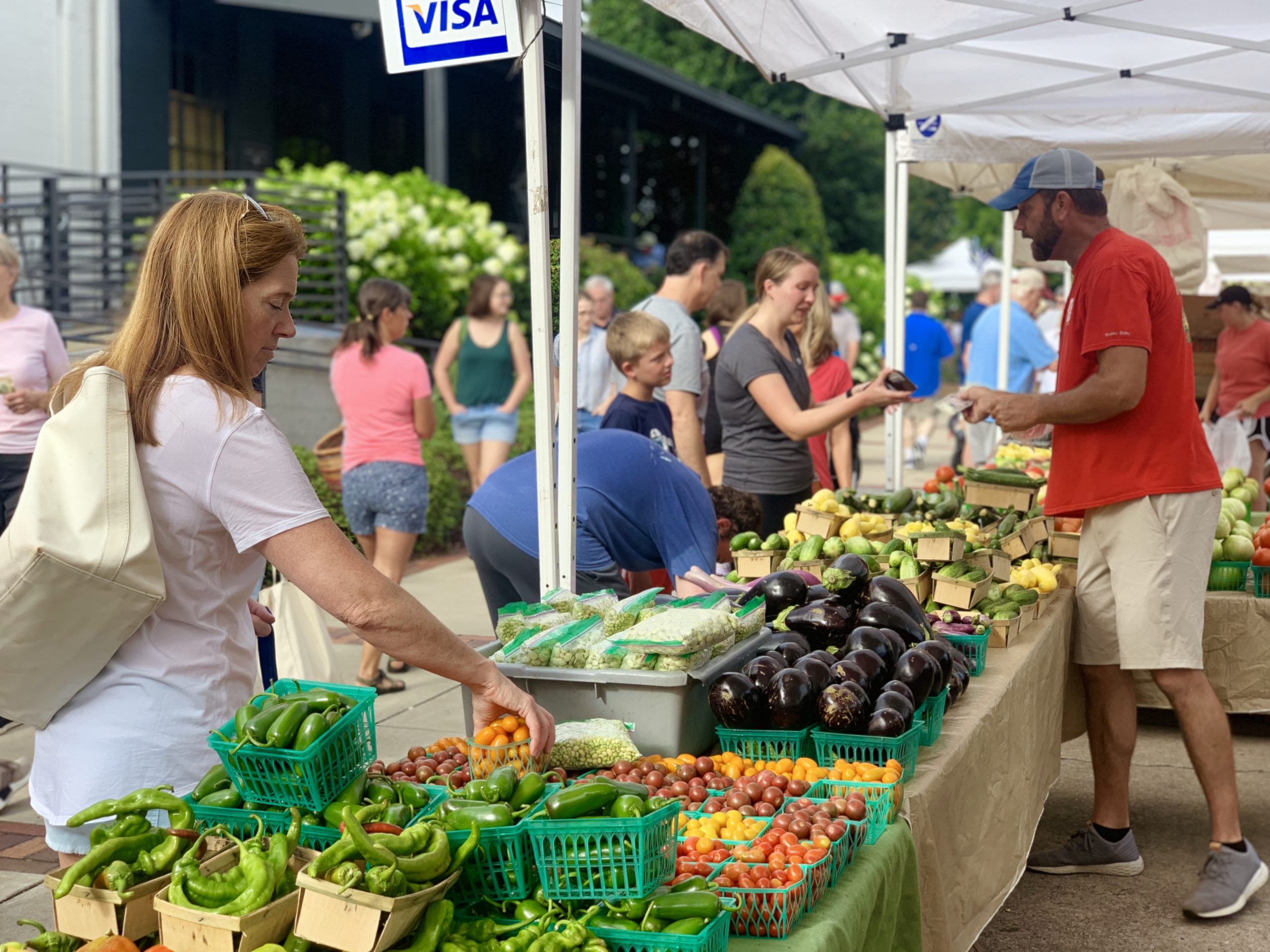 Tommy Aplin aplin farms customers horizontal