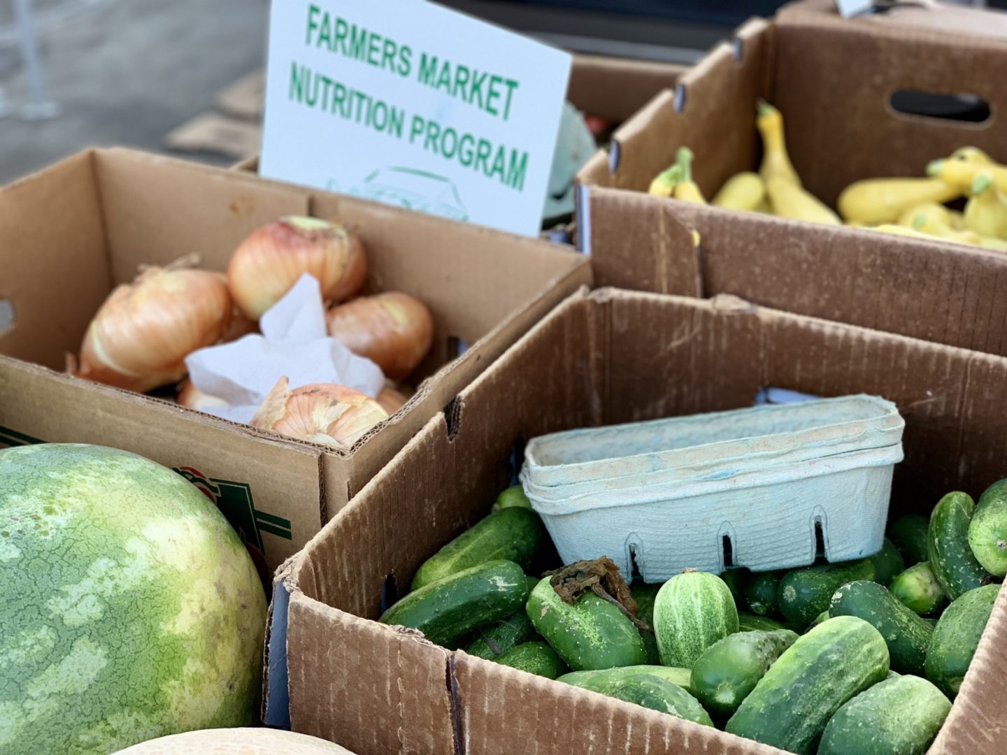 Whited Farms cukes onions squash horizontal
