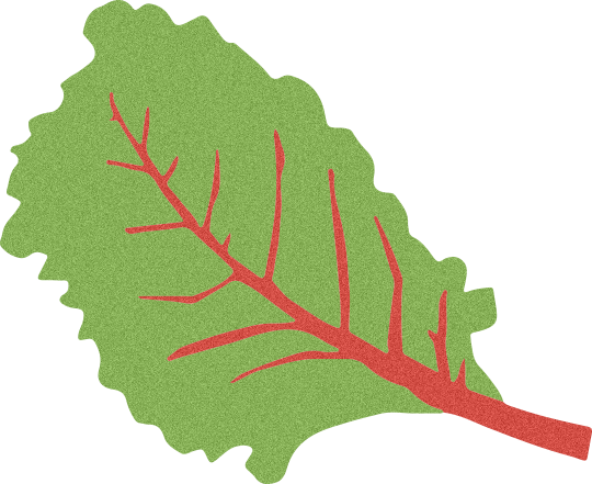 chard