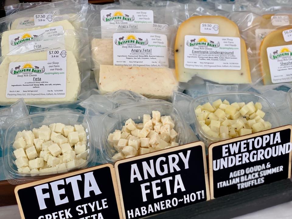 dayspring cheese