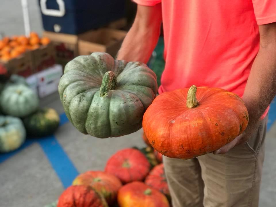 knight pumpkin
